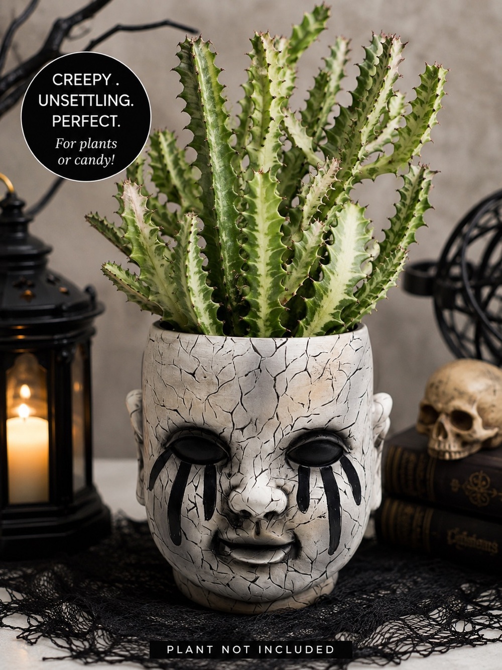 Creepy Halloween Head Planter 6.5” Gothic Horror Face Pot Spooky Decor